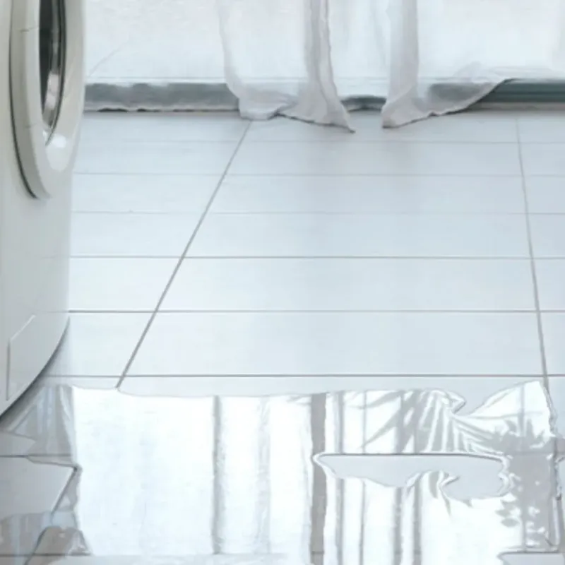 Appliance Leak Cleanup in North Charleston, SC