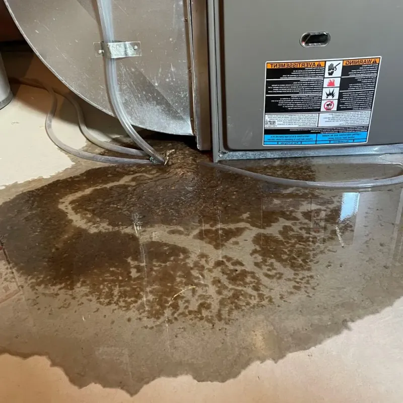Pipe Burst and Leak Restoration in North Charleston, SC