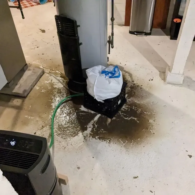 Sewage Backup Cleanup Service in North Charleston, SC